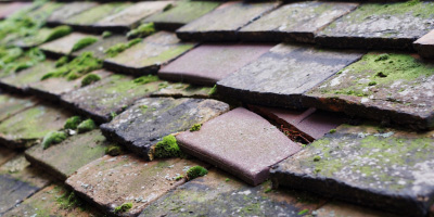 Kinlet roof repair costs